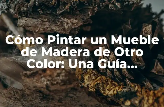 Cómo Pintar un Mueble de Madera de Otro Color: una Guía Completa