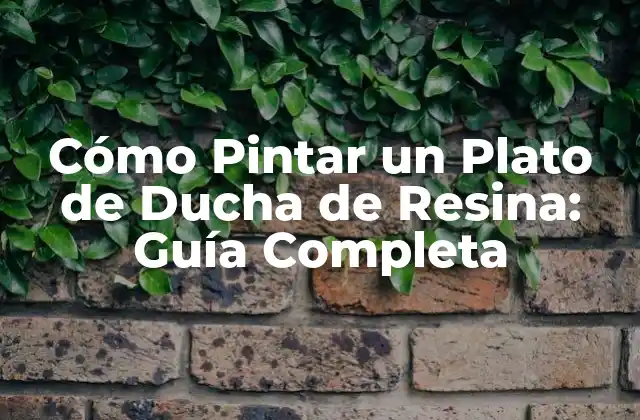 Preparación del Plato de Ducha de Resina