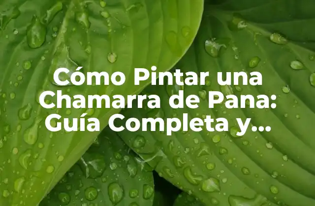 Cómo Pintar una Chamarra de Pana: Guía Completa y Detallada