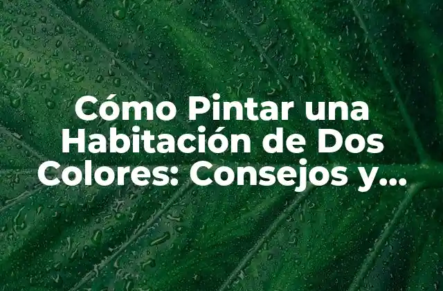 Cómo Pintar una Habitación de Dos Colores: Consejos y Ideas