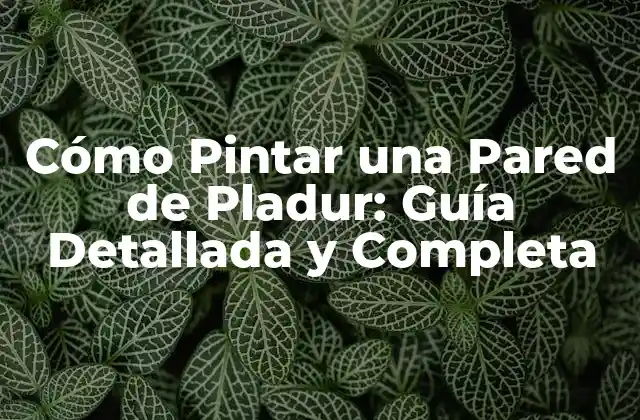 Cómo Pintar una Pared de Pladur: Guía Detallada y Completa