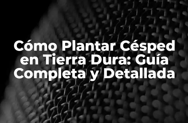 Cómo Plantar Césped en Tierra Dura: Guía Completa y Detallada