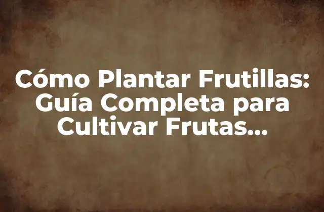 Cómo Plantar Frutillas: Guía Completa para Cultivar Frutas Deliciosas