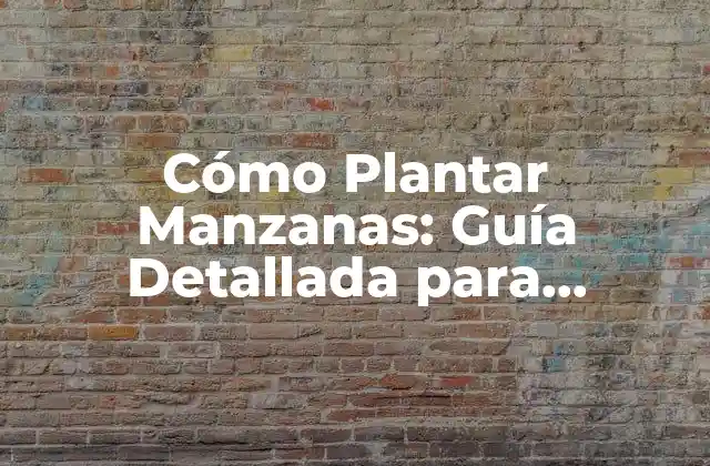 Preparación del Suelo para Plantar Manzanas