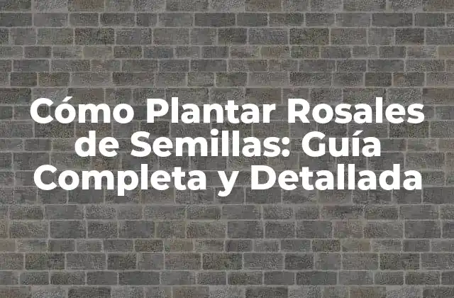 Cómo Plantar Rosales de Semillas: Guía Completa y Detallada