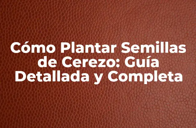 Cómo Plantar Semillas de Cerezo: Guía Detallada y Completa