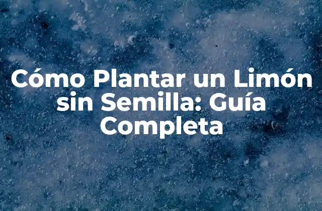 Cómo Plantar un Limón sin Semilla: Guía Completa