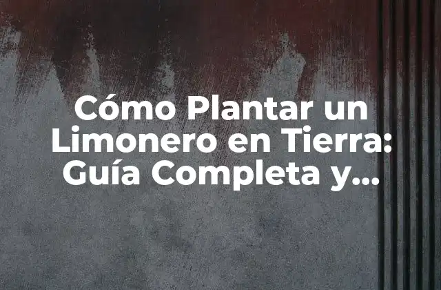 Cómo Plantar un Limonero en Tierra: Guía Completa y Detallada