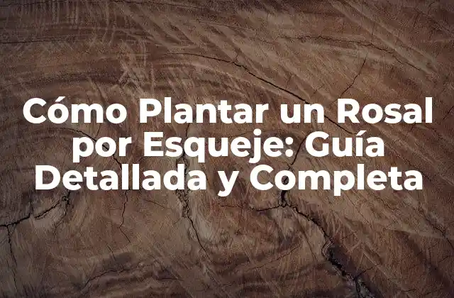Cómo Plantar un Rosal por Esqueje: Guía Detallada y Completa