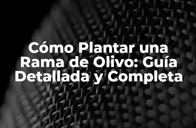 Cómo Plantar una Rama de Olivo: Guía Detallada y Completa