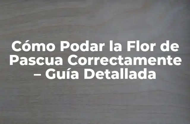Cómo Podar la Flor de Pascua Correctamente – Guía Detallada