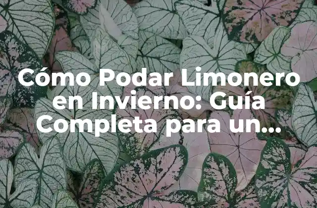 Cómo Podar Limonero en Invierno: Guía Completa para un Crecimiento Saludable