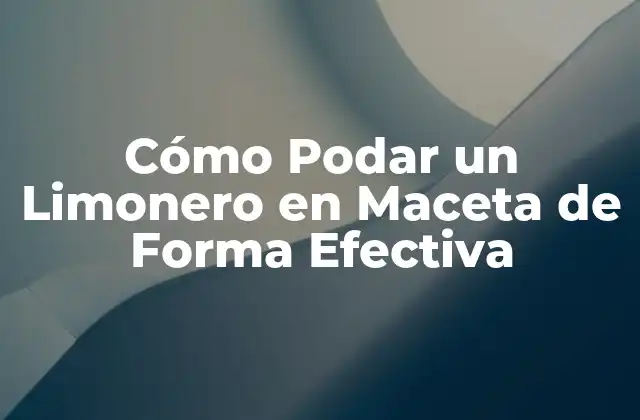 Cómo Podar un Limonero en Maceta de Forma Efectiva