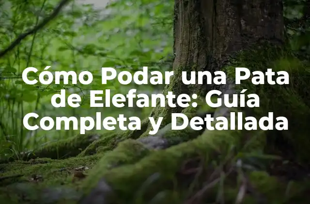 Cómo Podar una Pata de Elefante: Guía Completa y Detallada 2 ¿Por Qué es Importante Podar una Pata de Elefante?