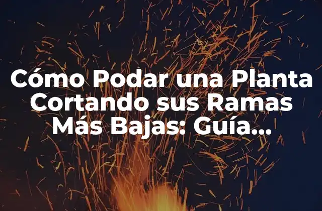 Cómo Podar una Planta Cortando Sus Ramas Más Bajas: Guía Práctica
