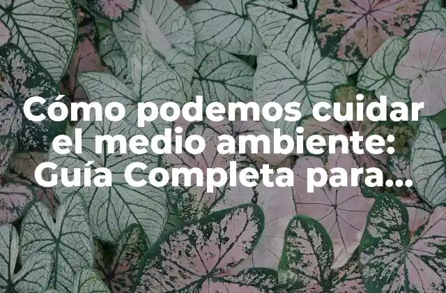 Cómo Podemos Cuidar el Medio Ambiente: Guía Completa para una Vida Sostenible