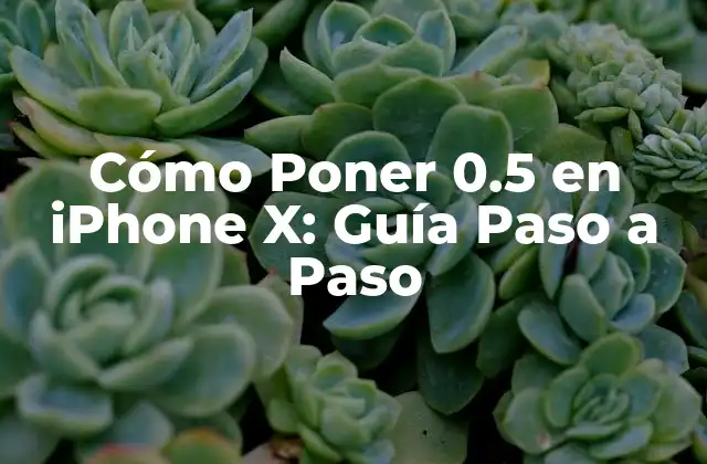 Cómo Poner 0.5 en Iphone X: Guía Paso a Paso