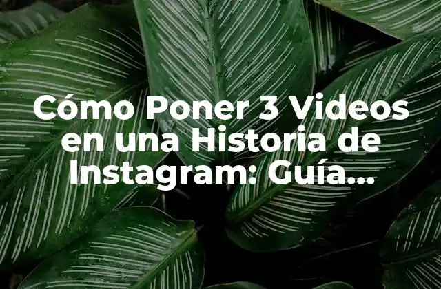 Cómo Poner 3 Videos en una Historia de Instagram: Guía Definitiva