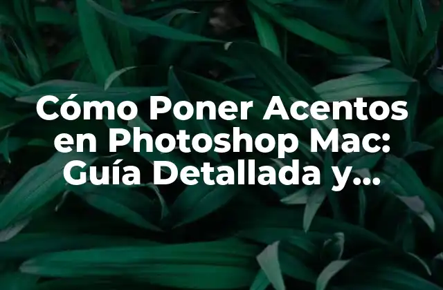 ¿Por qué es Importante Agregar Acentos en Photoshop Mac?