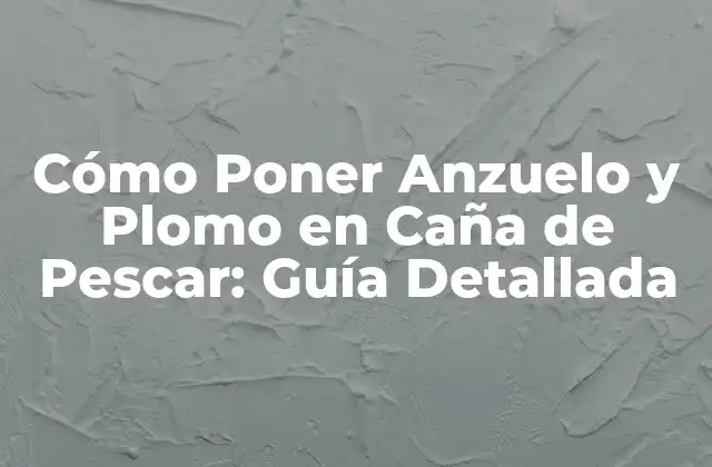 Cómo Poner Anzuelo y Plomo en Caña de Pescar: Guía Detallada
