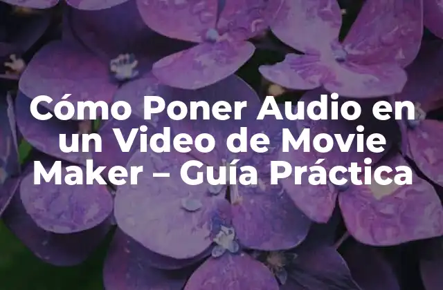 Requisitos Previos para Agregar Audio en Movie Maker