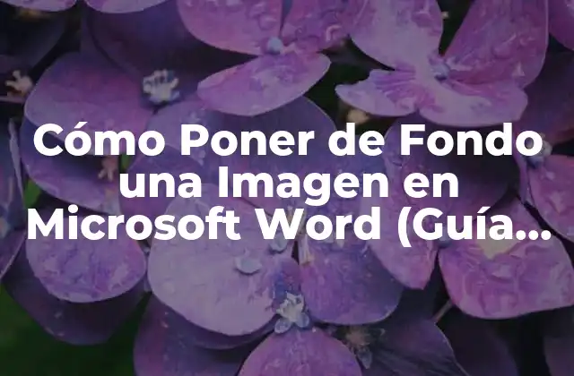 Cómo Poner de Fondo una Imagen en Microsoft Word (guía Completa)