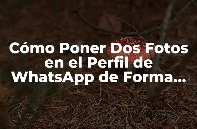 Cómo Poner Dos Fotos en el Perfil de Whatsapp de Forma Segura y Personalizada