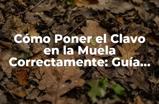 Cómo Poner el Clavo en la Muela Correctamente: Guía Detallada