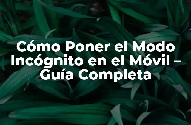 Cómo Poner el Modo Incógnito en el Móvil – Guía Completa
