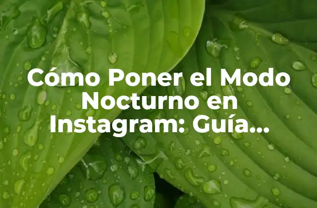 Cómo Poner el Modo Nocturno en Instagram: Guía Completa y Actualizada