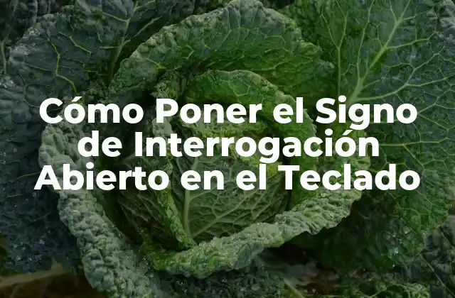 Cómo Poner el Signo de Interrogación Abierto en el Teclado