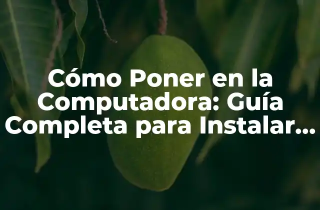 Cómo Poner un Programa en la Computadora