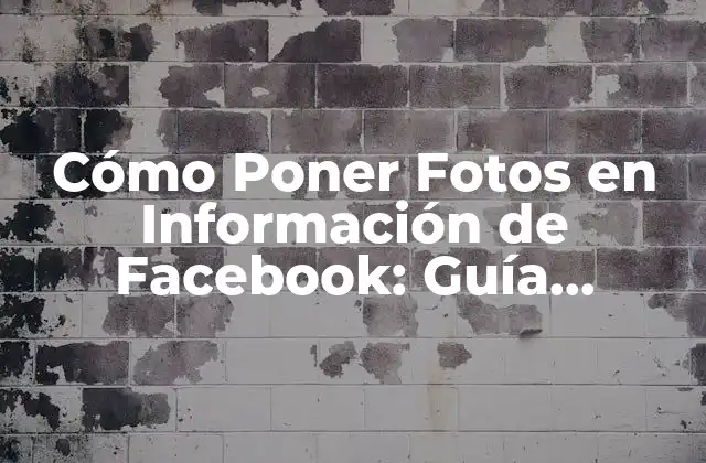 Cómo Poner Fotos en Información de Facebook: Guía Completa