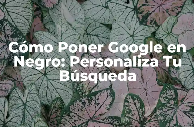 Cómo Poner Google en Negro: Personaliza Tu Búsqueda