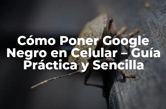 Cómo Poner Google Negro en Celular – Guía Práctica y Sencilla