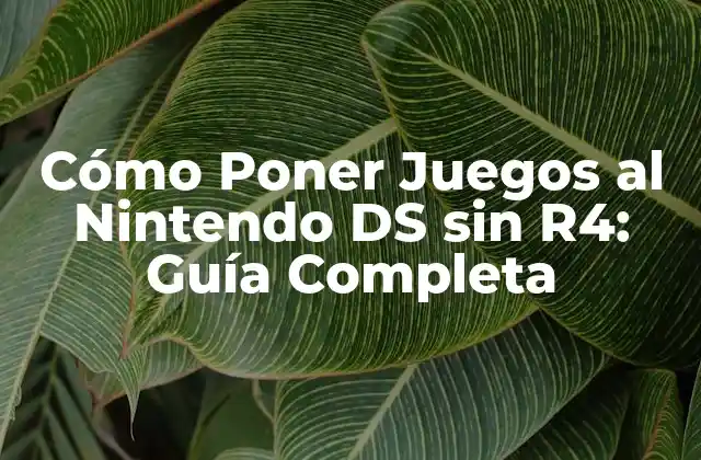 Cómo Poner Juegos Al Nintendo Ds sin R4: Guía Completa