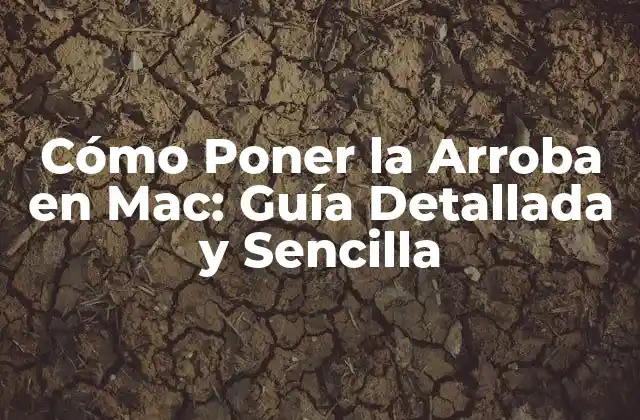 Cómo Poner la Arroba en Mac: Guía Detallada y Sencilla