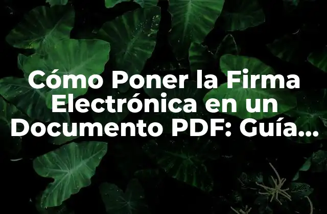 Cómo Poner la Firma Electrónica en un Documento Pdf: Guía Completa