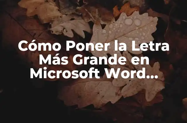Cómo Poner la Letra Más Grande en Microsoft Word, Google Docs y Más