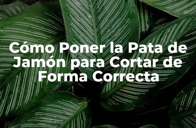 Cómo Poner la Pata de Jamón para Cortar de Forma Correcta