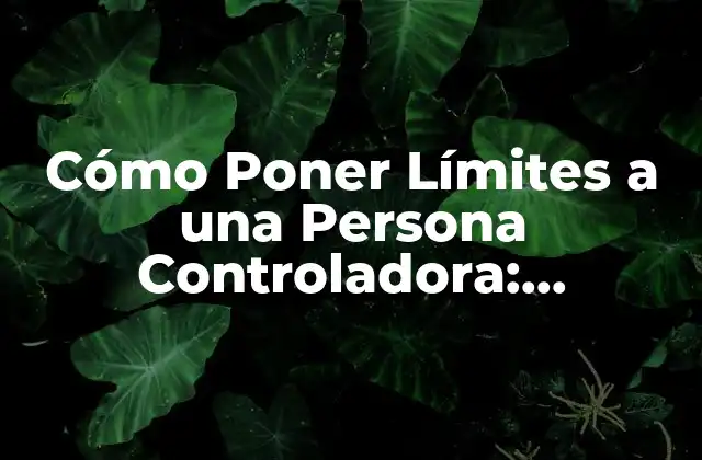 Cómo Poner Límites a una Persona Controladora: Estrategias Efectivas 2 ¿Qué es una Persona Controladora?