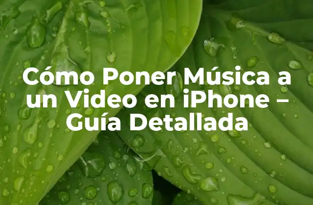 Cómo Poner Música a un Video en Iphone – Guía Detallada