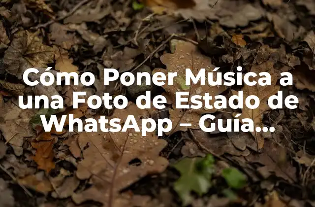 Cómo Poner Música a una Foto de Estado de Whatsapp – Guía Completa