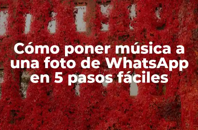 Cómo Poner Música a una Foto de Whatsapp en 5 Pasos Fáciles