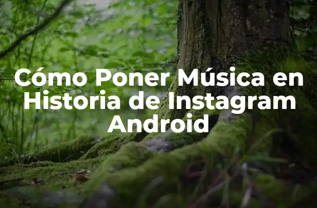 Cómo Poner Música en Historia de Instagram Android
