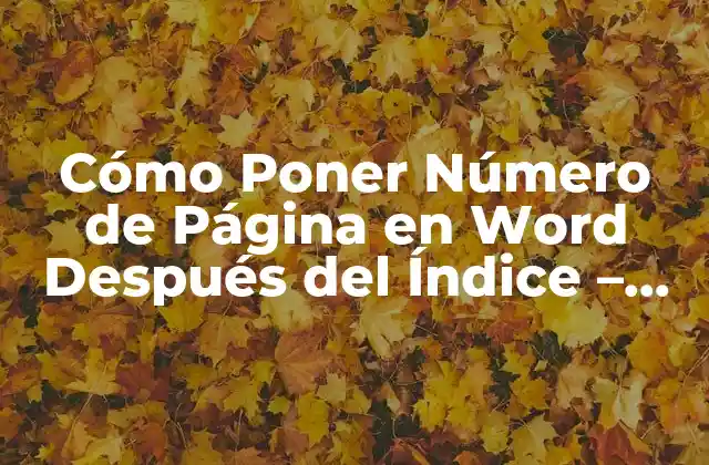 Cómo Poner Número de Página en Word Después Del Índice – Guía Detallada