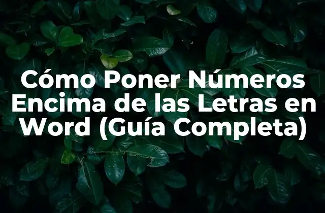 Cómo Poner Números Encima de las Letras en Word (guía Completa)