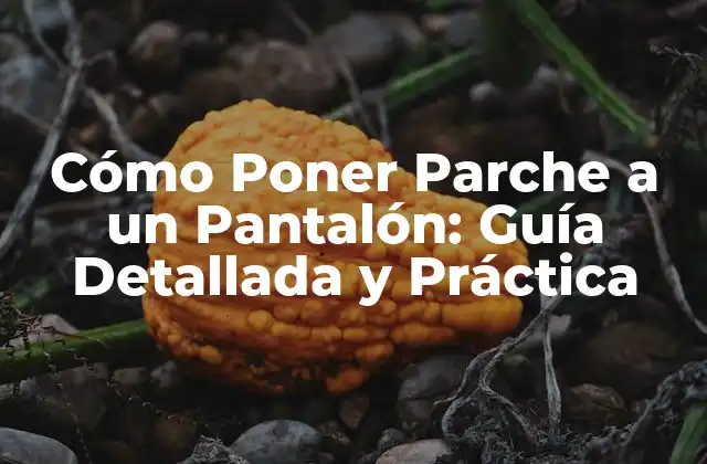 Cómo Poner Parche a un Pantalón: Guía Detallada y Práctica