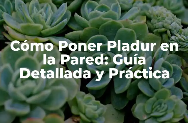 Cómo Poner Pladur en la Pared: Guía Detallada y Práctica