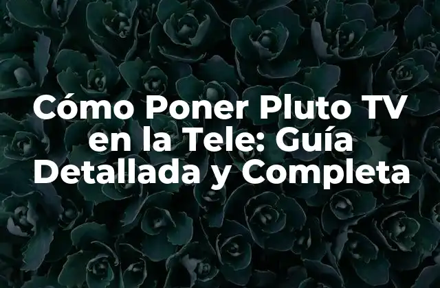 Cómo Poner Pluto Tv en la Tele: Guía Detallada y Completa